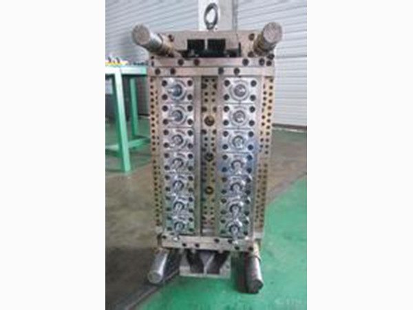 瓶胚模具09
